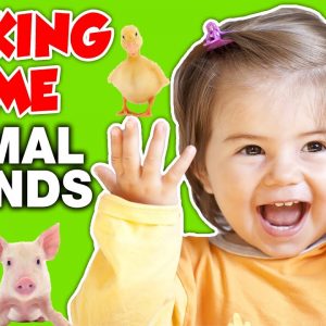 Animal Sounds for Toddlers and Babies - Talking Time on the Farm Video - Speech, Songs, Signs Song