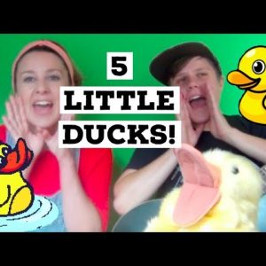 5 Little Ducks Went Out One Day with action lyrics
