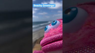 Beachy Greetings from Fuchsia Fish!