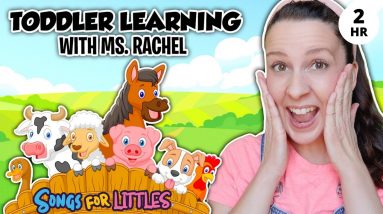 Learn Animals with Ms Rachel for Toddlers - Animal Sounds, Farm Animals, Nursery Rhymes & Kids Songs